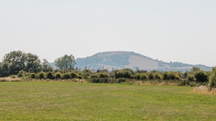 Robins Corner - Photo 24