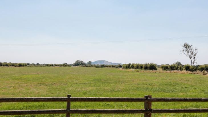 Robins Corner - Photo 25