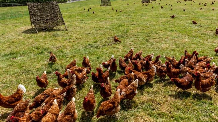 The Anchorage @ Nables Farm - Photo 41