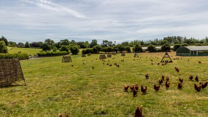 The Anchorage @ Nables Farm - Photo 47