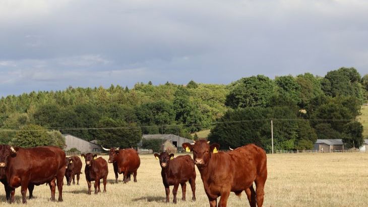 The Anchorage @ Nables Farm - Photo 49