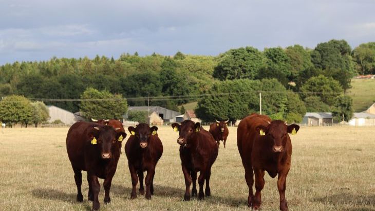 The Anchorage @ Nables Farm - Photo 51