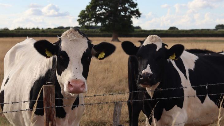 The Anchorage @ Nables Farm - Photo 54