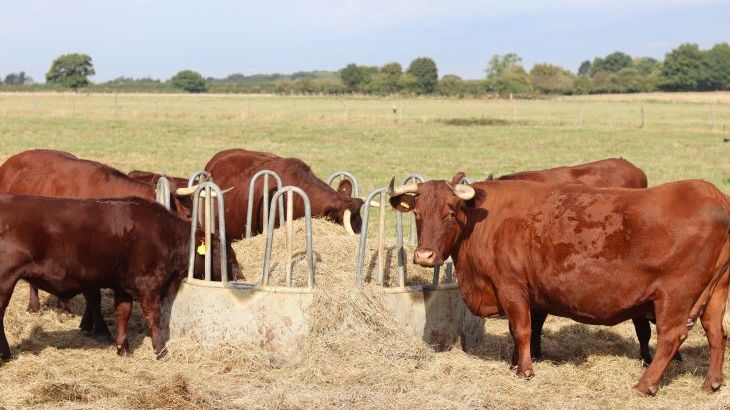 The Anchorage @ Nables Farm - Photo 37