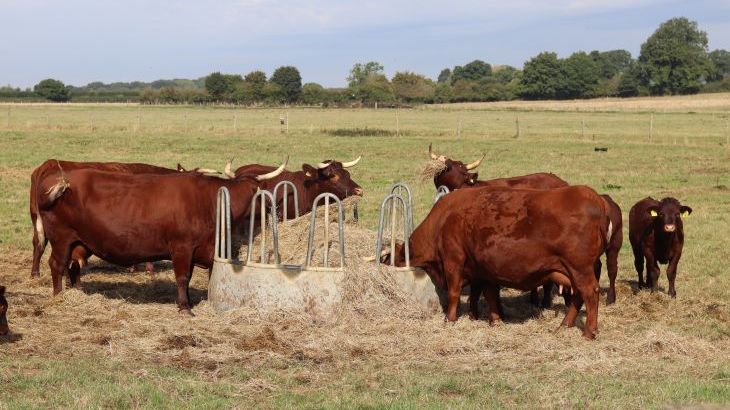 The Anchorage @ Nables Farm - Photo 38