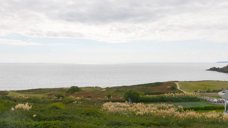 Sea Sands - Photo 33