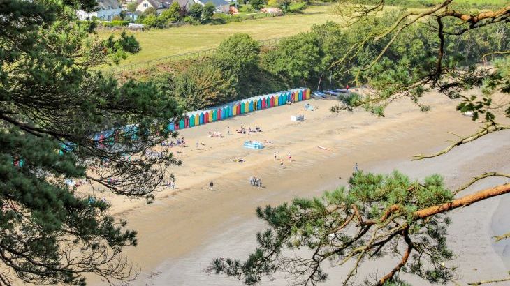 Trem Ynys - Photo 57