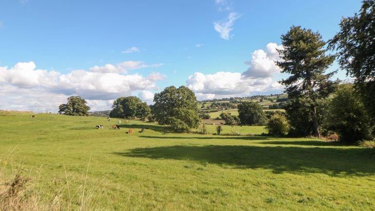 Orchard Cottage - Photo 31