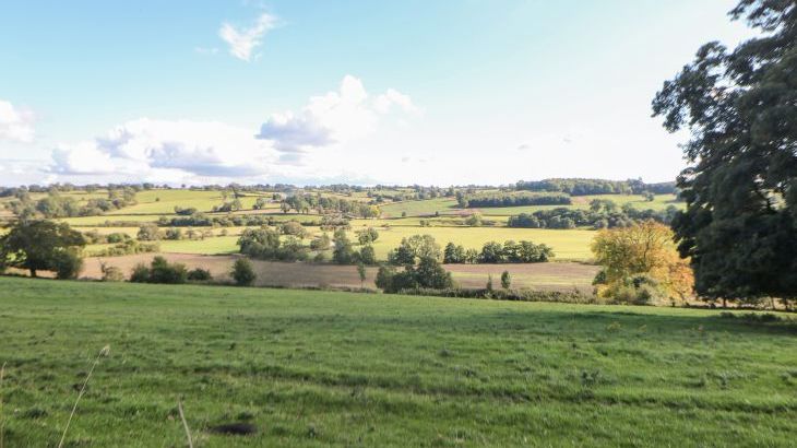 Orchard Cottage - Photo 33