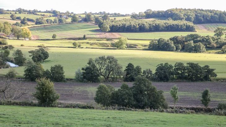 Orchard Cottage - Photo 34