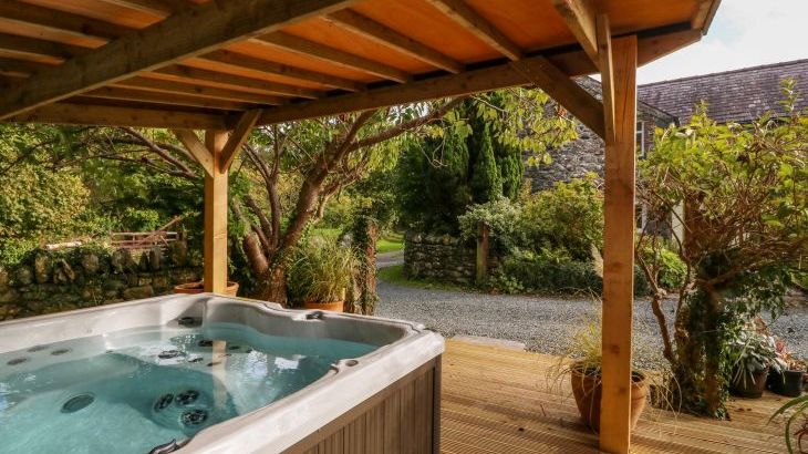 Plas Mawr - Photo 24