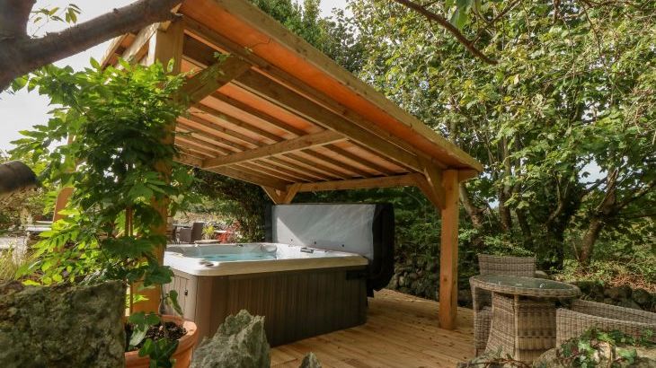 Plas Mawr - Photo 25