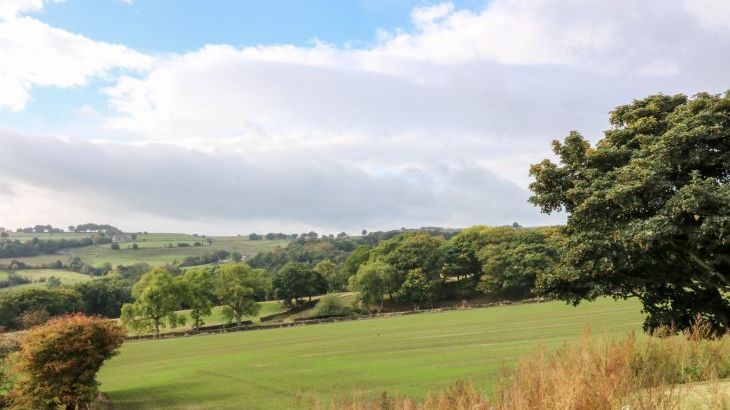 Green Barn - Photo 23