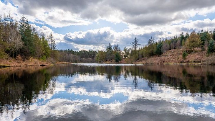 Keepers Cottage - Photo 50