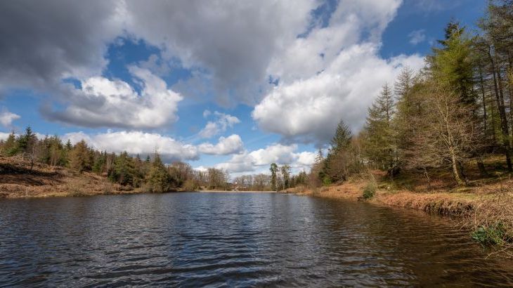 Keepers Cottage - Photo 52