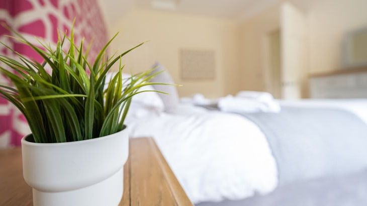 Hazelseat House - Photo 35