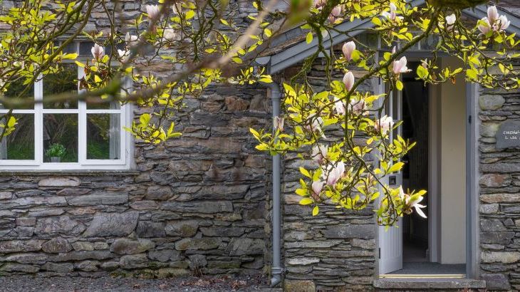 Grassholme - Photo 1