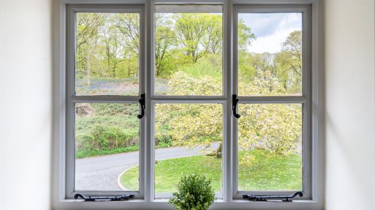 Grassholme - Photo 20