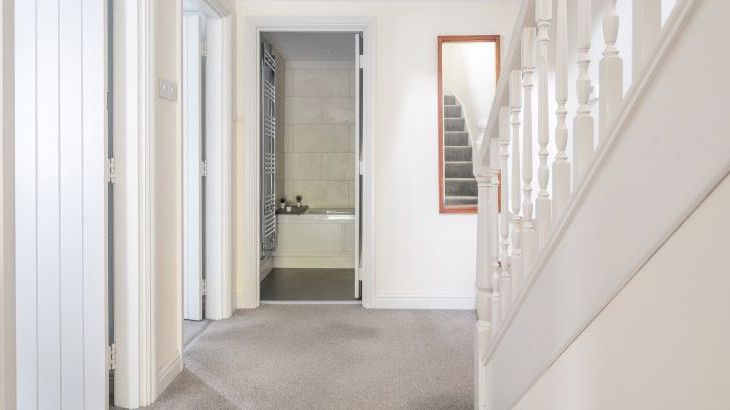 Grassholme - Photo 21