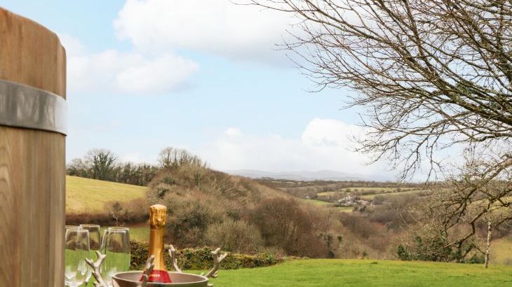 Treveddoe Farmhouse - Photo 45