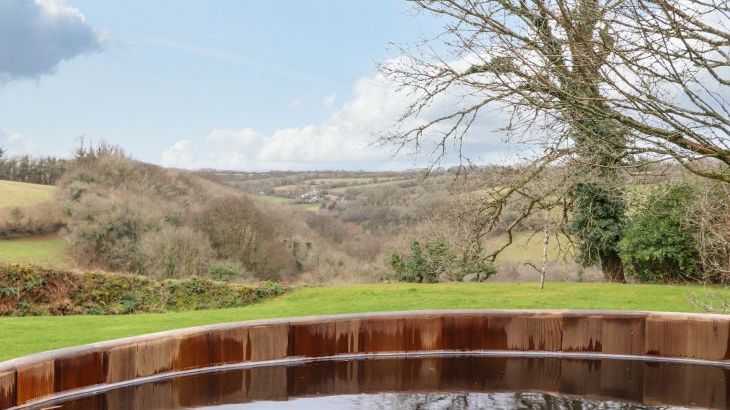 Treveddoe Farmhouse - Photo 46