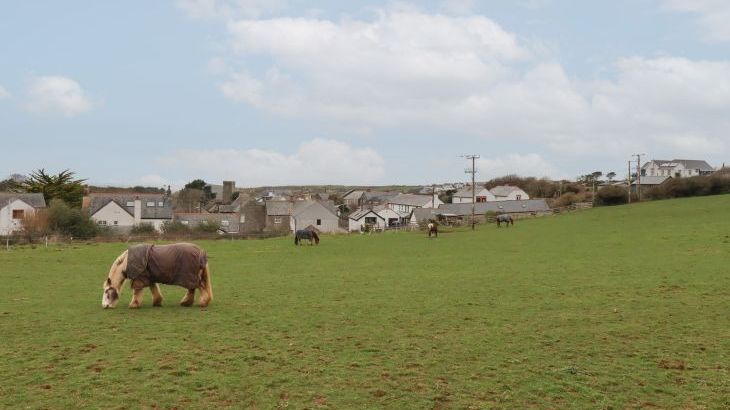 Lavender House - Photo 52