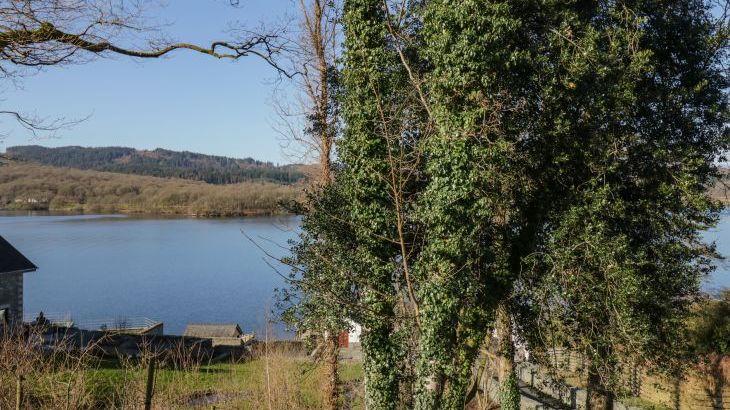 Lower Lake View - Photo 21