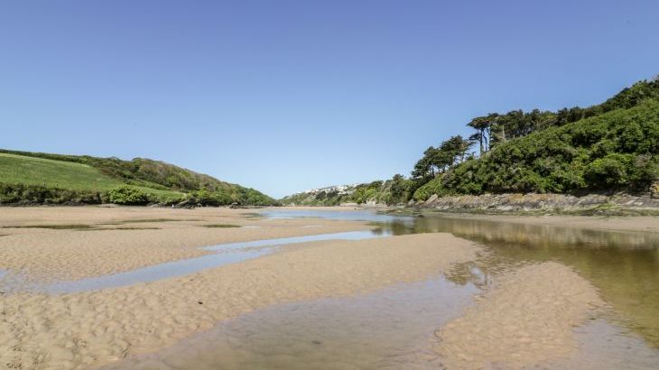 Lavender House - Photo 56