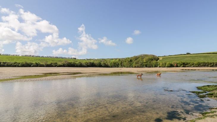 Lavender House - Photo 55