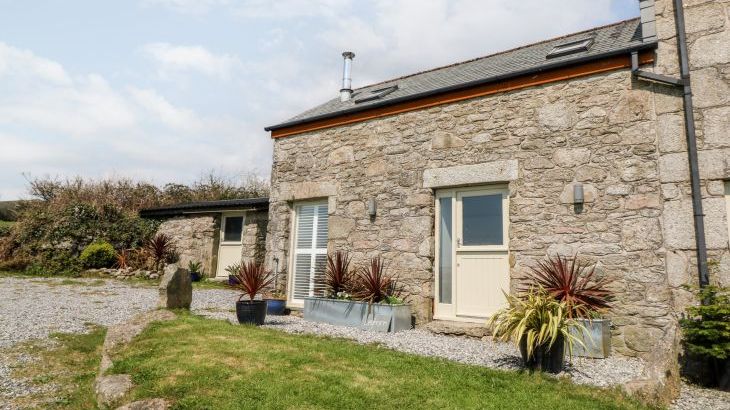 Leghorn - Main Photo