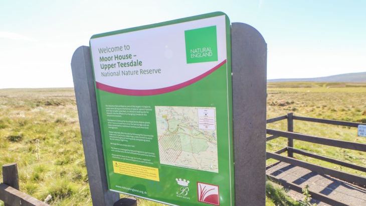 Heatherbrae - Photo 117