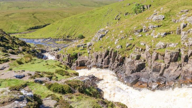 Heatherbrae - Photo 119