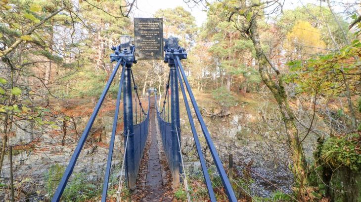 Heatherbrae - Photo 128