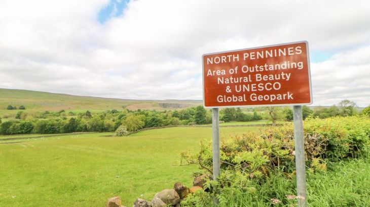 Heatherbrae - Photo 130