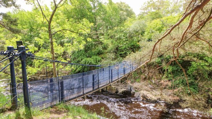 Heatherbrae - Photo 131