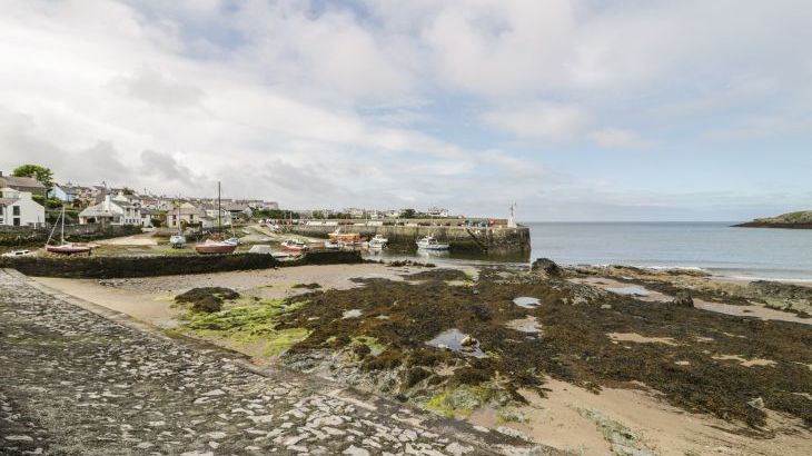 Garden House - Photo 29