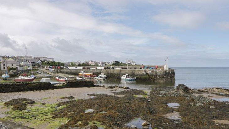 Garden House - Photo 30