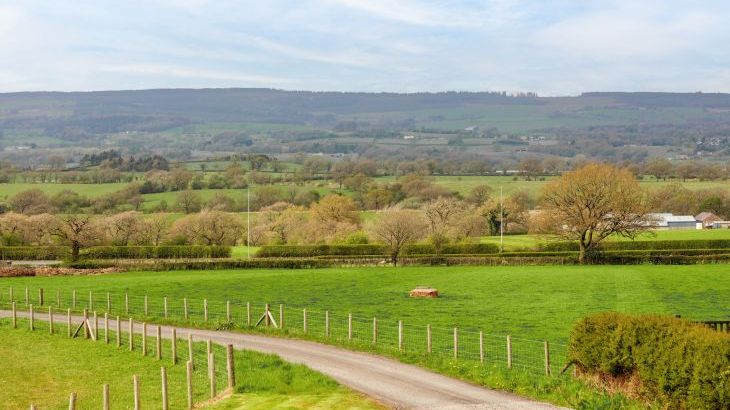 Archstone House - Photo 40