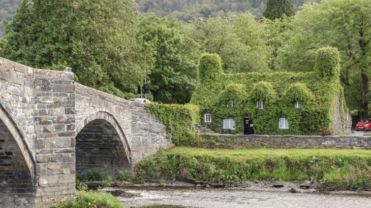 Gwern Borter Manor - Photo 50