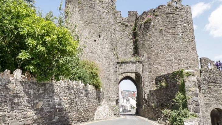 Gwern Borter Manor - Photo 51