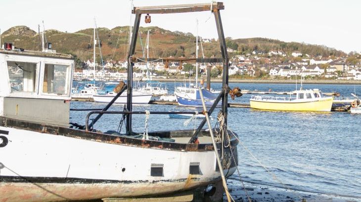 Gwern Borter Manor - Photo 55