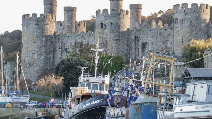 Gwern Borter Manor - Photo 56