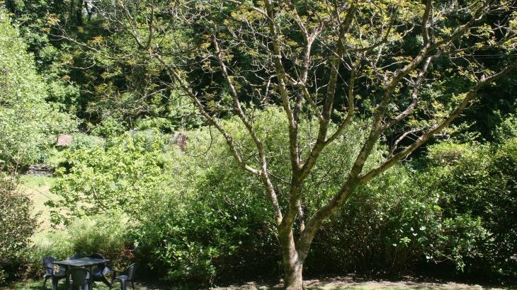 Coachman's - Photo 14