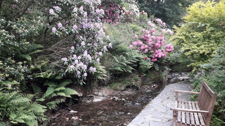 Coachman's - Photo 16