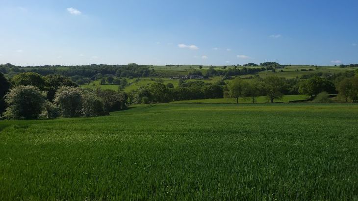 Top Hill Farm Cottage - Photo 32