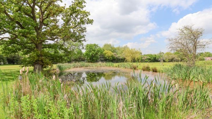 Callow Lodge 22 - Photo 43