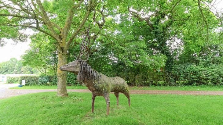 Callow Lodge 22 - Photo 44