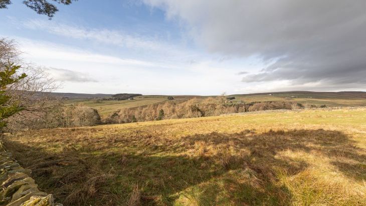 Heatherbrae - Photo 78