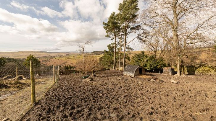 Heatherbrae - Photo 91