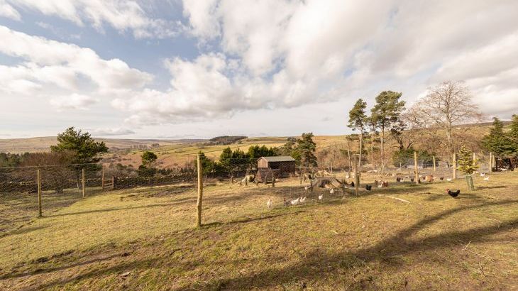 Heatherbrae - Photo 92